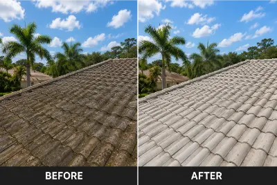Before and after tile roof soft washing results