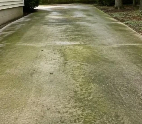 Algae stained concrete driveway before pressure washing in Palm Coast, FL