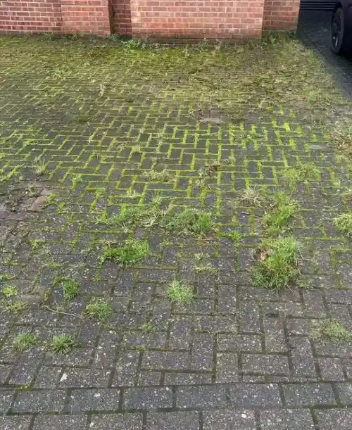 Stained paver driveway before cleaning in Palm Coast, FL