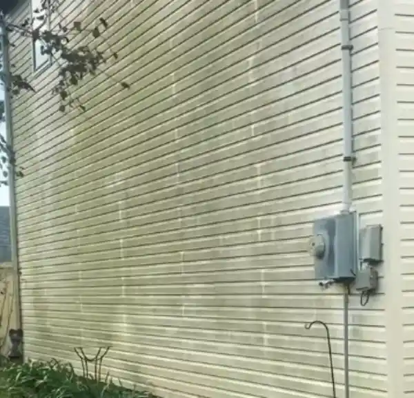 Soft washed vinyl siding in Palm Coast, FL